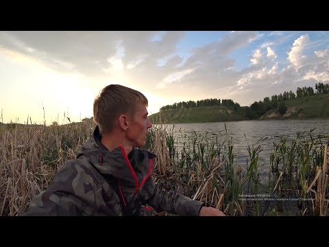 Видео: Крупный карась рвет леску. Рыбалка на маховую удочку в мае.