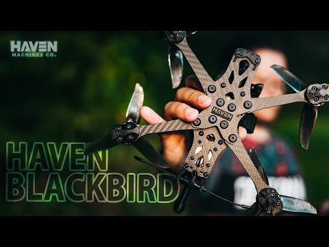 Видео: ☀ Пятёрка под фристайл. Лухарский вжуххх! [Haven Blackbird]