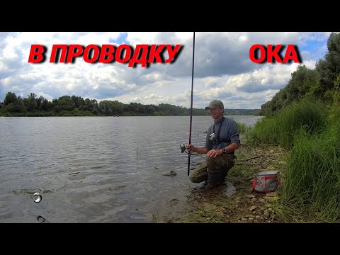Видео: ЭТУ РЫБУ Я НЕ ЛОВИЛ ЛЕТ 10. РЫБАЛКА на ПОПЛАВОК на ОКЕ. 6 видов рыб.