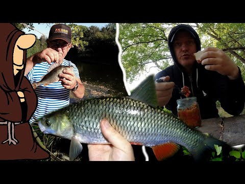 Видео: Ловим крупную Плотву и Окуней , по темну влетел Голавль! Рыбалка в конце Августа на реке Сок