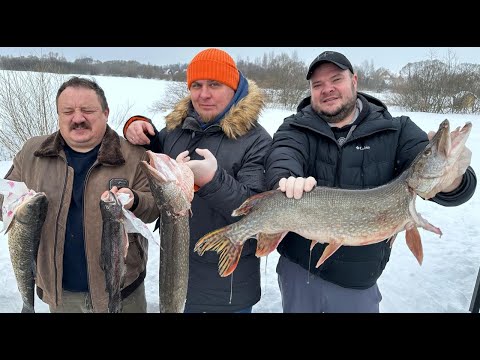 Видео: РЫБА НЕ ПОМЕЩАЕТСЯ В КАЗАН. УХА ИЛИ РЫБНЫЙ СУП?