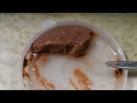 Видео: #Поплыл малёк скалярии 👍✊️💪