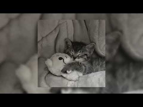 Видео: 🎧комфортный плейлист треков🎧 (speed up)