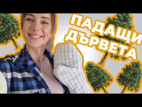 Видео: КОЙ бутна дървото?🌳6 деца, 4 майки и КУЧЕ на едно място🤯