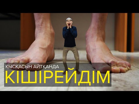 Видео: Қысқасын айтқанда, Мен кішірейдім