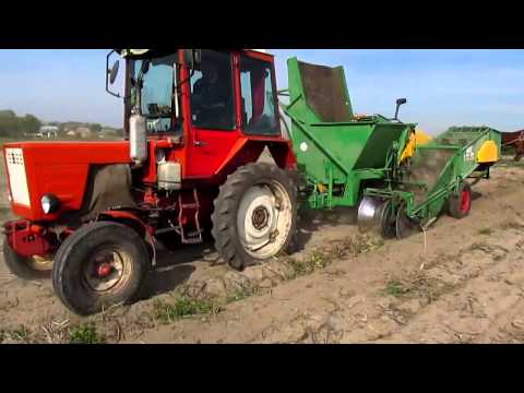 Видео: Т-25 Люкс vs Bolko