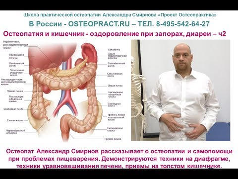 Видео: Остеопатия и кишечник – оздоровление при запорах, диареи, метеоризме