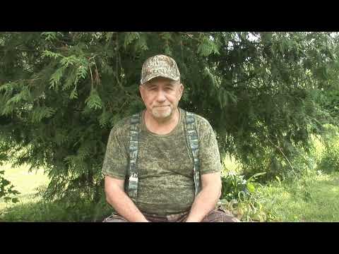 Видео: Обращение к заводчикам и экспертному сообществу.