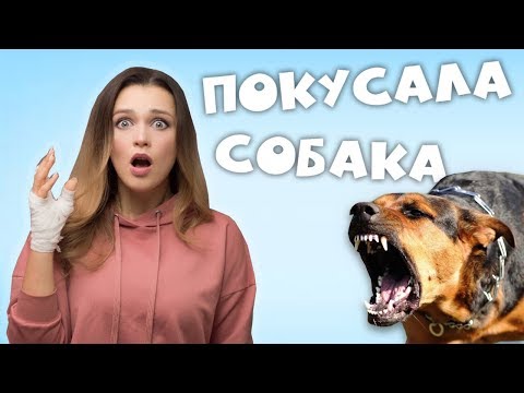 Видео: МЕНЯ ПОКУСАЛА СОБАКА!!! |  ЧЕМ ЭТО ОПАСНО? ЧТО ДЕЛАТЬ , ЕСЛИ УКУСИЛА СОБАКА?