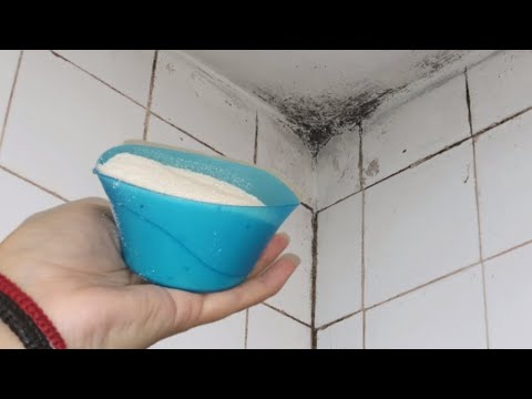 Видео: ПЛЕСЕНЬ ИСЧЕЗНЕТ МОМЕНТАЛЬНО #совет Самый Сильный и Эффективный из всех 👍