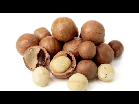 Видео: Секреты выращивания макадамии: как получают эту драгоценность в скорлупе