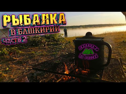 Видео: Саузово часть 2 / Рыбалка Республика Башкортостан / Озеро Сомовое / Пришла ЛИСА / Поймали щуку