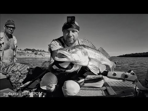 Видео: июль 2023 - СУПЕР ВОБЛЕР по СУДАКУ! ЛОВЛЯ СУДАКА ТРОЛЛИНГОМ в ОДИН СПИННИНГ, УГЛЯНСКОЕ, река Ахтуба
