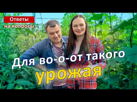 Видео: ХВАТИТ! Пора получить урожай, которого вы достойны!