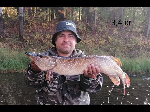 Видео: Проездом через Каюкова.  Рыбачим с Володей. Сентябрь 2023.