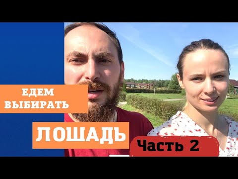 Видео: Влог: едем покупать лошадь 2 день.