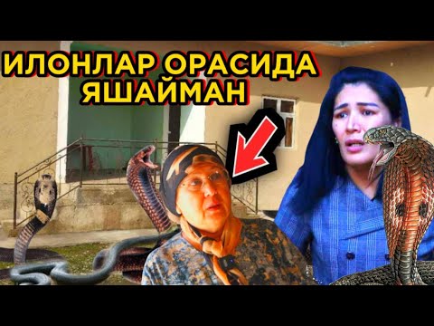 Видео: УЙИМДА 4 МEТРЛИ БЎҒМА ИЛОН БОР!!! ИЛОНЛАР ЧАҚИШИДАН ҚЎРҚИБ ЯШАЙМАН.