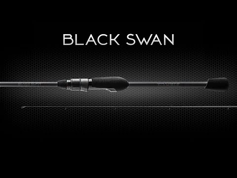 Видео: Обзор спиннинга Favorite Black Swan. Новинка 2021