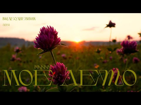 Видео: Видеодневник 🌿 Углич, Нерехта, деревня, маленькие радости