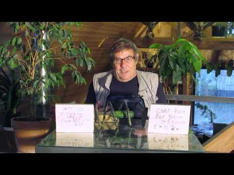 Видео: Межзвездый перелет Дизайн и защита