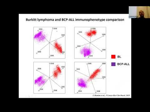 Видео: Роль современной проточной цитометрии в комплексной диагностике ОЛЛ