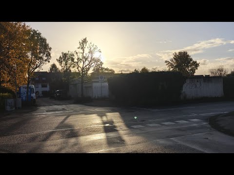 Видео: С 27 по 29.10.25 я потерялась 