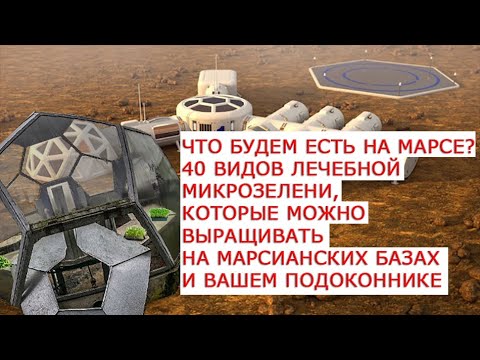 Видео: Что будем есть на Марсе  40 видов лечебной микрозелени, которые можно выращивать на марсианских база