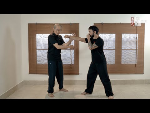 Видео: «Резание» с использованием намерения (И意), продемонстрированное Мастером Яп Бо Хыном.