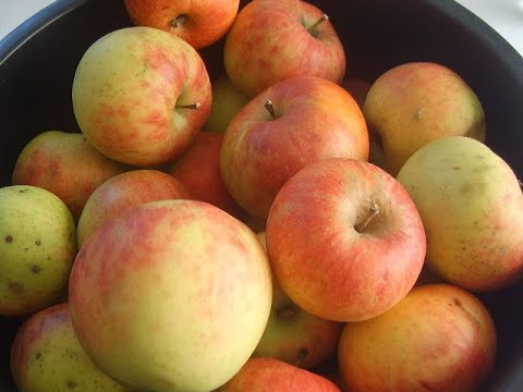 Видео: Яблочное пюре. Маринкины творинки. Всем МИРА и Добра!