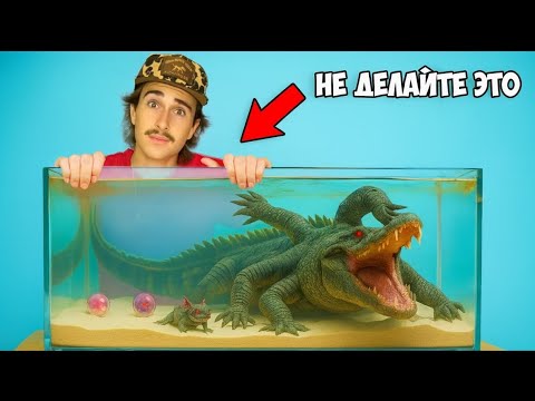 Видео: Я нашел самого смертоносного аллигатора в даркнете…