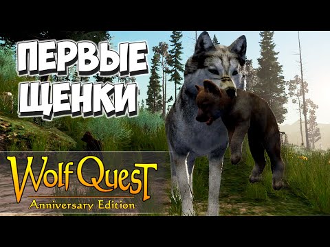 Видео: Один сыночек и 3 лапочки-дочки! WolfQuest: Anniversary Edition #10