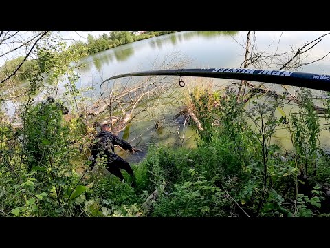 Видео: ЭТО БЕЗУМИЕ! КРУПНАЯ РЫБА на 15 см глубины и ЗАГИБАЕТ боковой кивок. Рыбалка