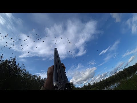 Видео: Охота на утку с подхода. Вот это налет!!! Доставал веревкой. ИЖ-54.