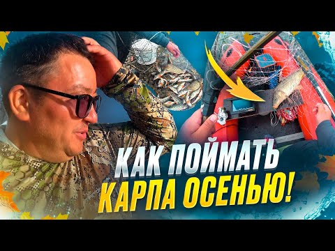 Видео: ДИКИЙ САЗАН НА ПОПЛАВОК. КАК ПОЙМАТЬ КАРПА ОСЕНЬЮ.