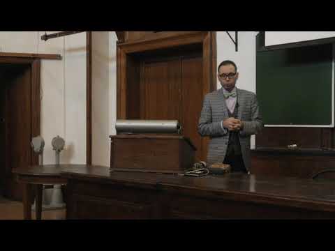 Видео: Зернов А. С. - Высшие растения - 4. Меристемы, покровные ткани