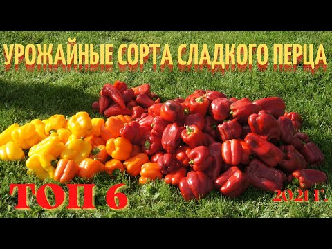 Видео: Урожайные сорта сладкого перца 2021г