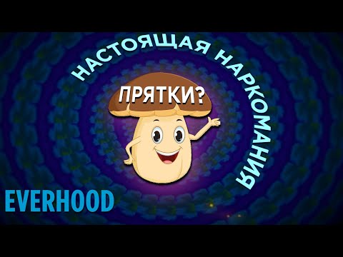 Видео: Everhood ЧАСТЬ4: ООООООООООООООООООООООООООООООООООООООООООООООООООООООООООООООООООЧЕНЬ ДЛИННЫЙ ТРЕШ