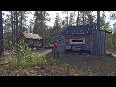 Видео: Я ОБАЛДЕЛ КОГДА УВИДЕЛ ЭТУ ИЗБУ В ТАЙГЕ / РЫБАЛКА НА РЕКЕ / РЫБАЛКА С ДРУЗЬЯМИ / РЫБАЛКА НА СЕВЕРЕ.