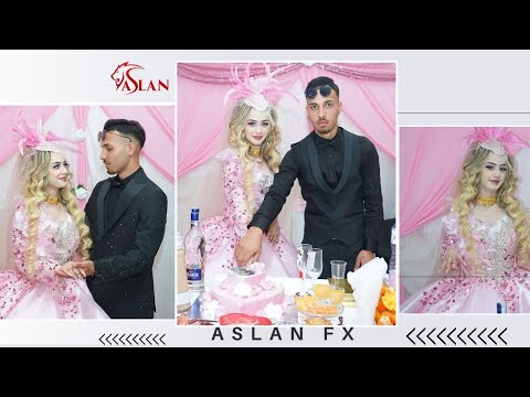 Видео: Годежа на Мите и фида 2025