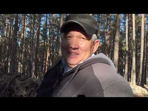 Видео: Мына  Жолбарыс қайдан пайда болды!✌️