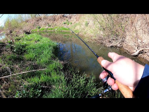 Видео: Весною на Голавля. Рибалка в цікавих місцях