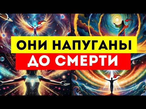 Видео: Избранные, они напуганы до смерти‼️ Вы победили группу  ВЕДЬМ с АРМИЕЙ ИЗ ОДНОГО ЧЕЛОВЕКА 🪖!