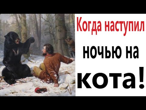 Видео: ПРИКОЛЫ! КОГДА НАСТУПИЛ НОЧЬЮ НА КОТА!!! Угарные МЕМЫ, смешные истории от Доми шоу!