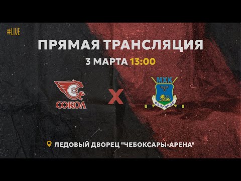 Видео: 03.03.2024 ХК Сокол VS МХК Белгород