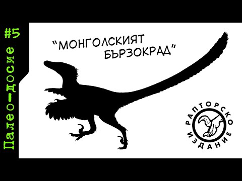 Видео: ПАЛЕО-ДОСИЕ: Велосираптор