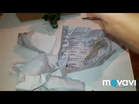 Видео: Распаковка посылки с растениями (черенки пеларгоний) unboxing