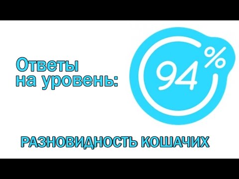 Видео: Игра 94 процента ответы на 9 уровень РАЗНОВИДНОСТЬ КОШАЧИХ. Ответы на игру 94%