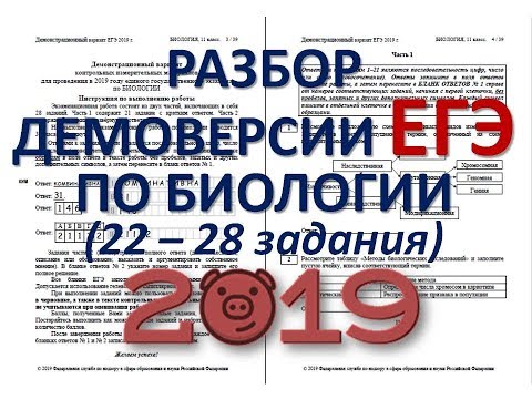 Видео: ДЕМОВЕРСИЯ ЕГЭ ПО БИОЛОГИИ 2019 (подробный разбор 22-28 заданий)