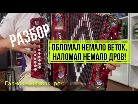 Видео: "Обломал немало веток, наломал немало дров" Разбор на гармонях в двух тональностях!