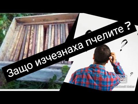 Видео: Защо пчелите напускат кошера? (Изчезнало пчелно семейство)